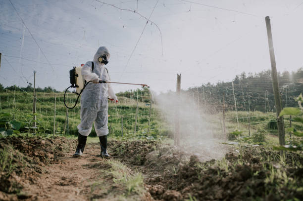 Trusted Vineyard, UT Pest Control Experts